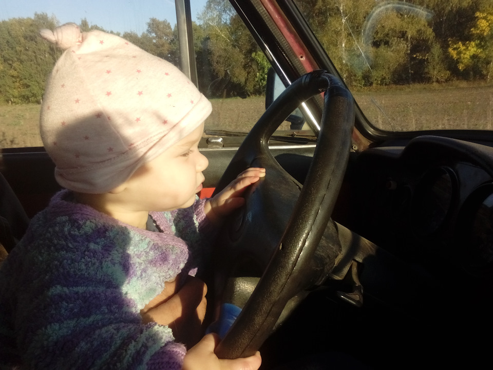 У ліс, за грибами 2