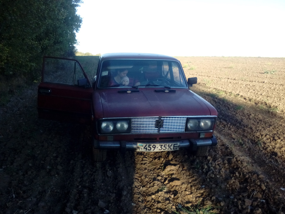 У ліс, за грибами 3