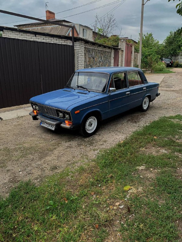 Фарбування Діцків 1