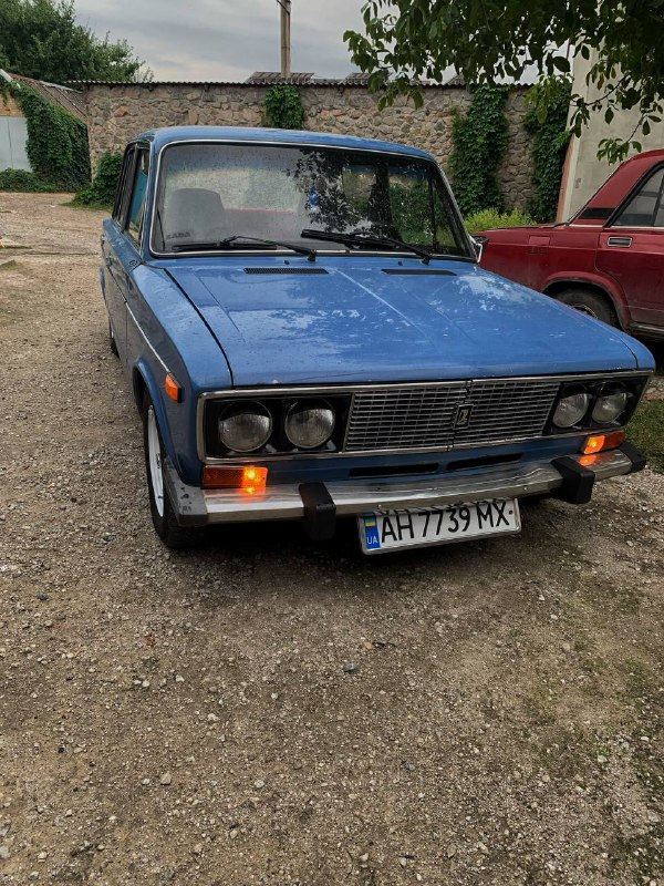 Фарбування Діцків 4
