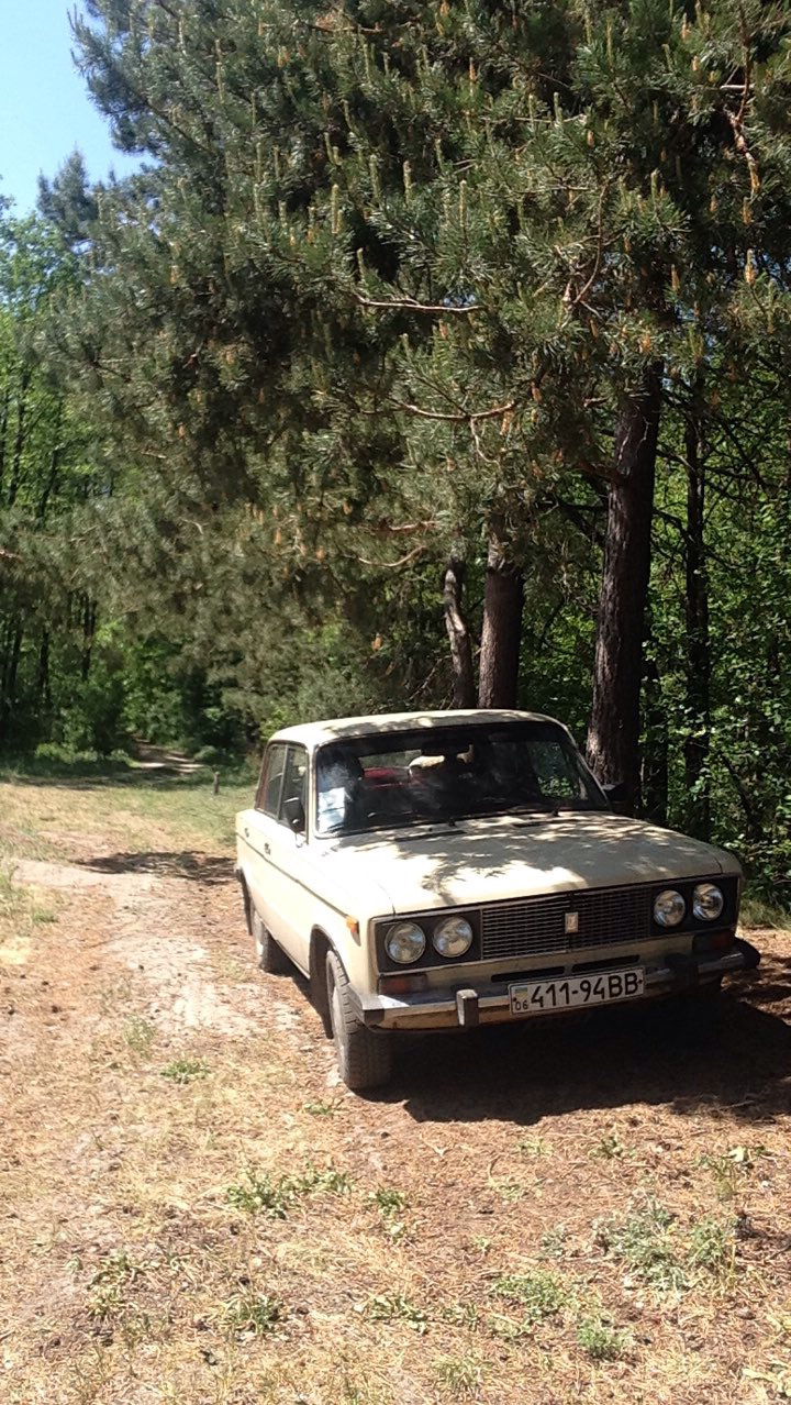 18.05.12 Поїздка до лісу, Житомир (300км) 2