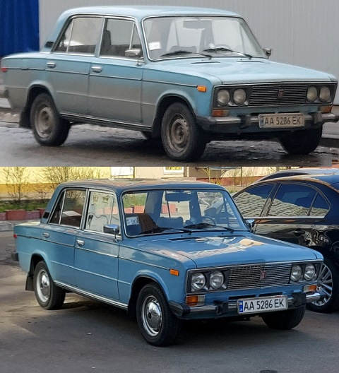 Прибираємо рижики 4