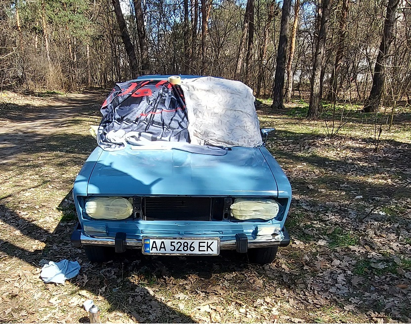 Прибираємо рижики 1