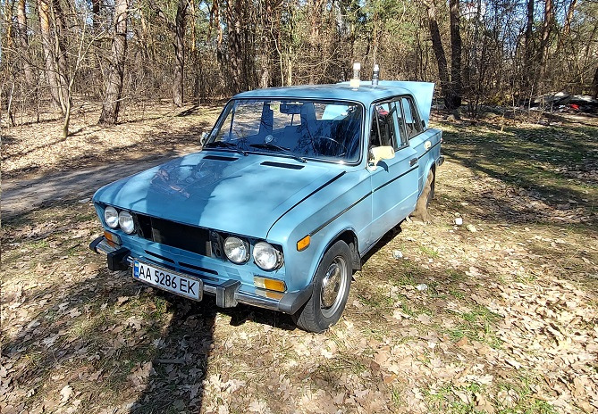Прибираємо рижики 2