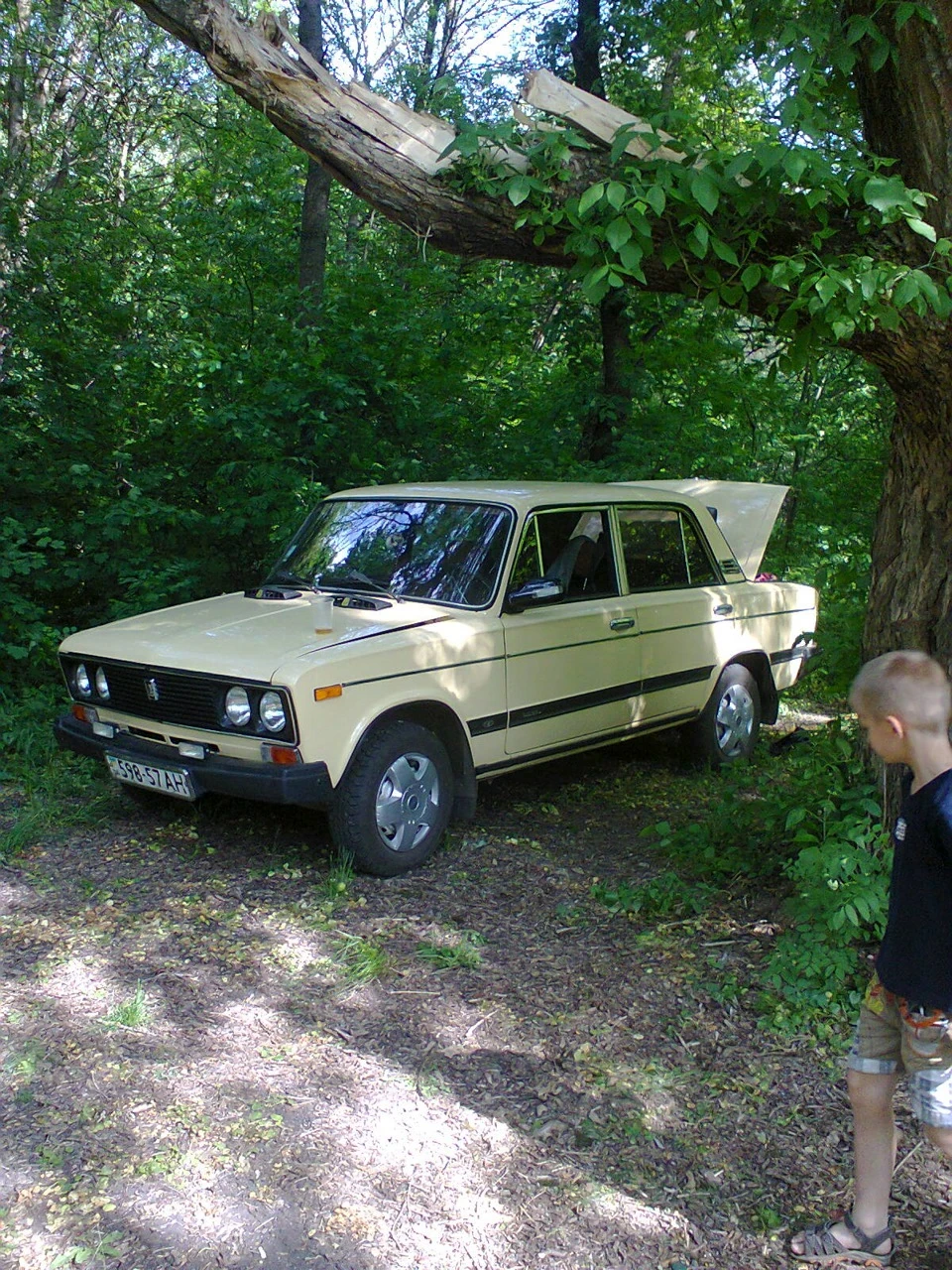 НА ПІКНИЧЦІ