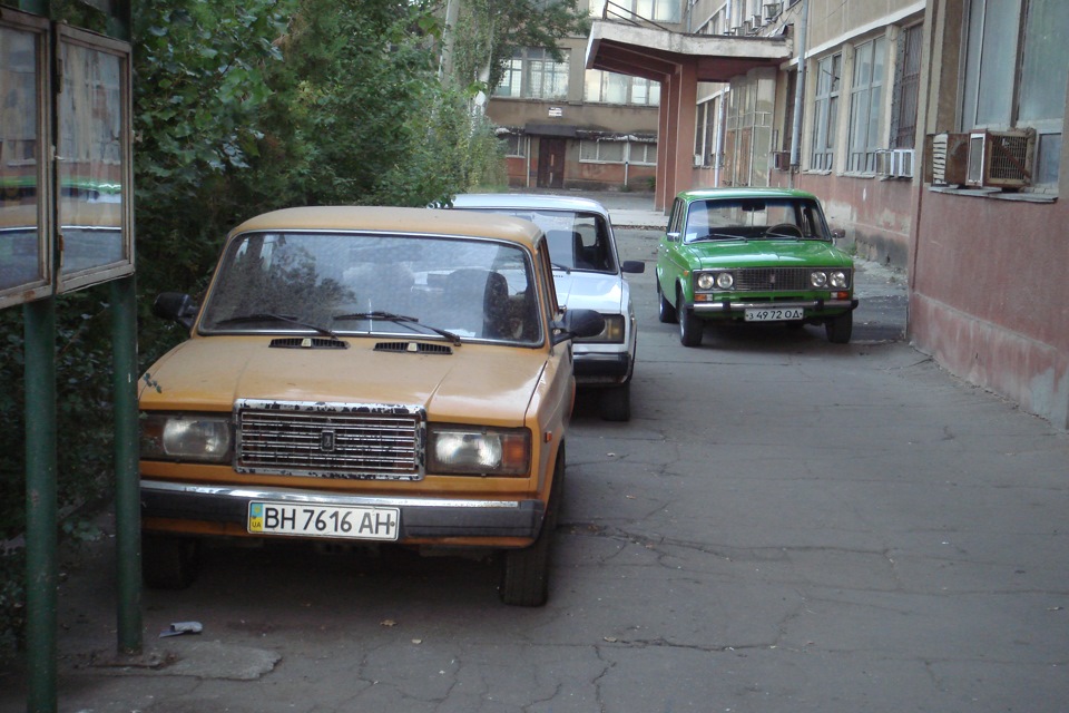 Знялися в кіно 4