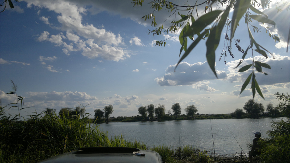 Літні фотки 2017р. 2