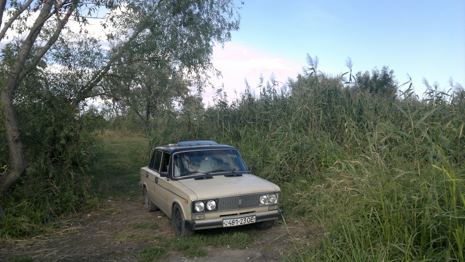 Літні фотки 2017р. 3