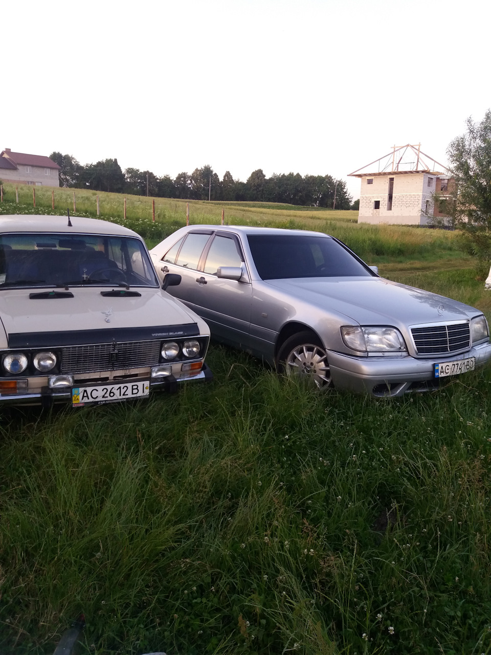 фото після фарбування 3