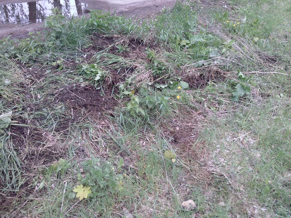 Невелика неприємність((( 3