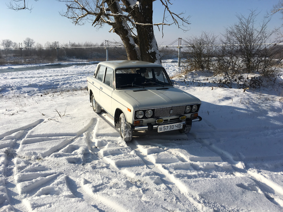 Їздили в ліс на занурення. 2