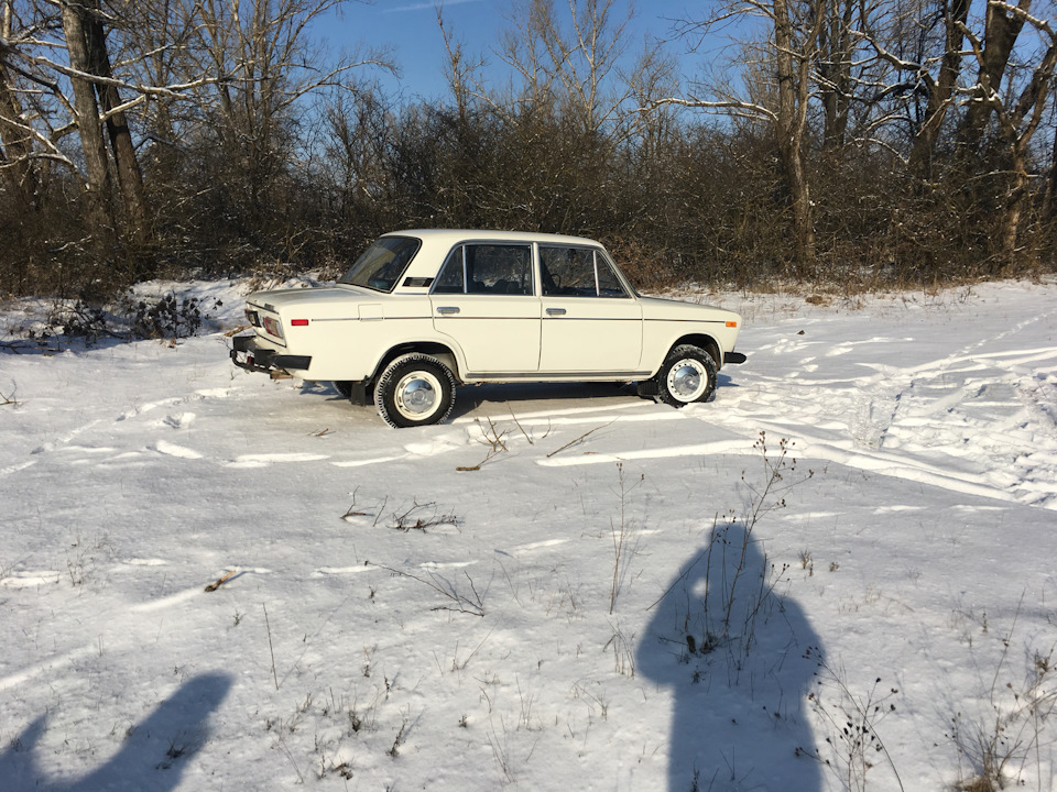 Їздили в ліс на занурення. 3