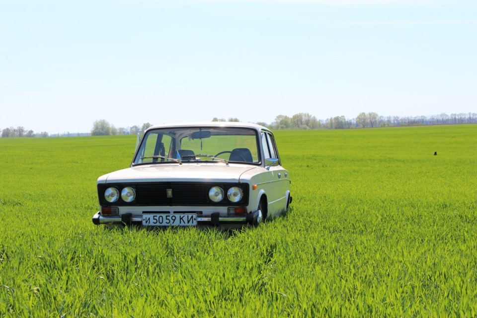 Всі фотографії за минулий рік. 4