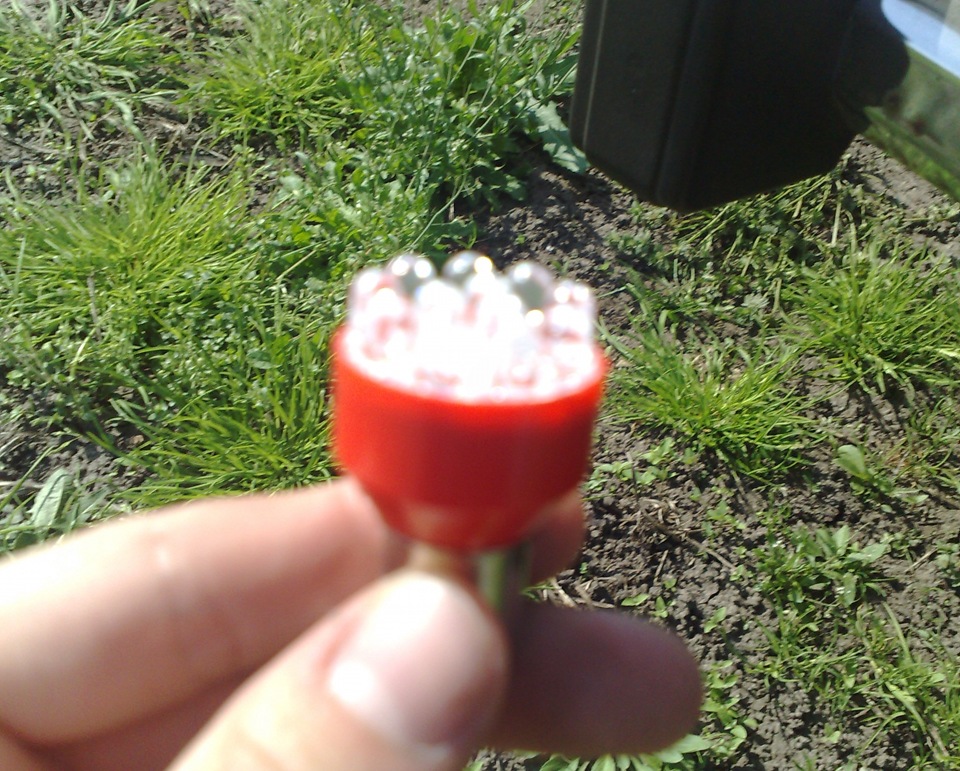 LED лампочки в задні габарити 1