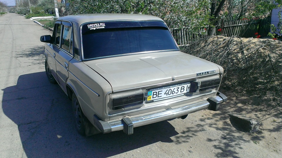 шоха зібрана 1