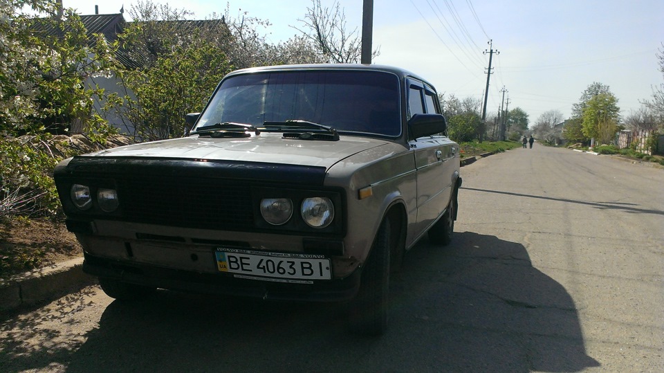 шоха зібрана 2