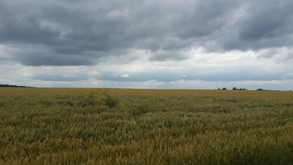 Кілька фотографій 1