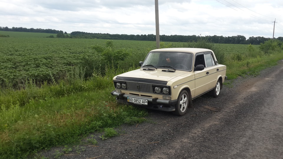 Кілька фотографій 3