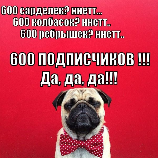 ВАС ВЖЕ 600! ДЯКУЮ! 2