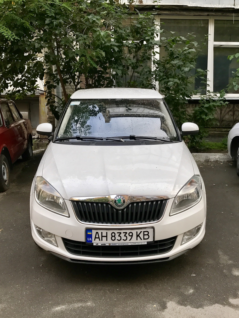 Новий член сім'ї =) 1