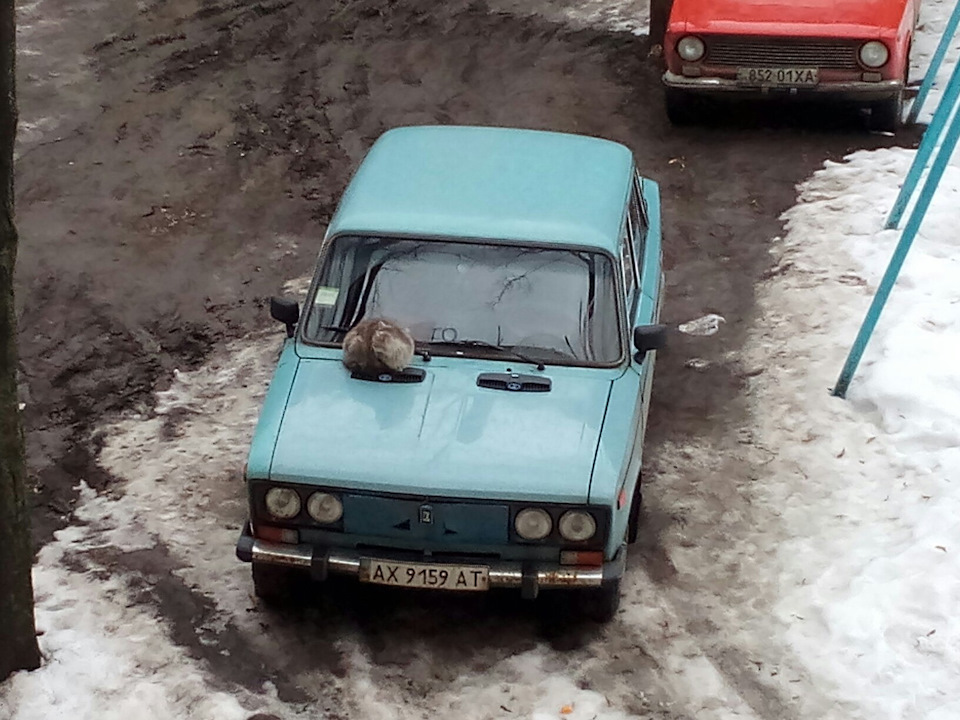 Кися!) 1