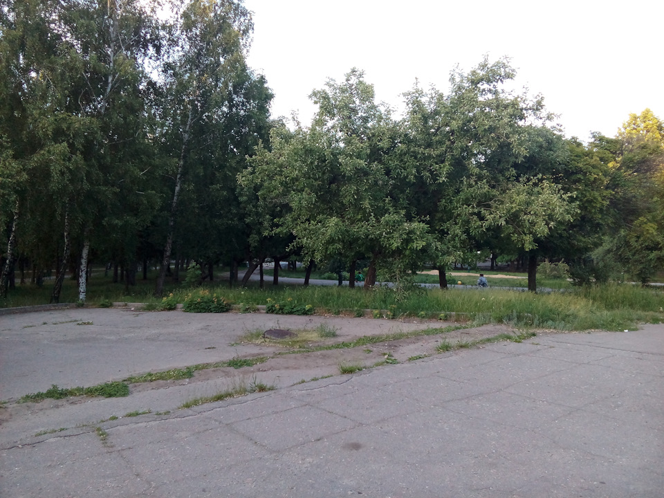 Трохи фоток улюбленки) 4