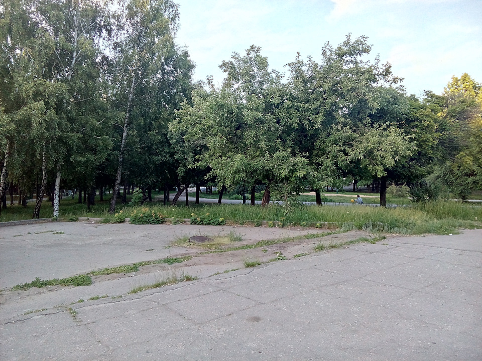 Трохи фоток улюбленки) 5