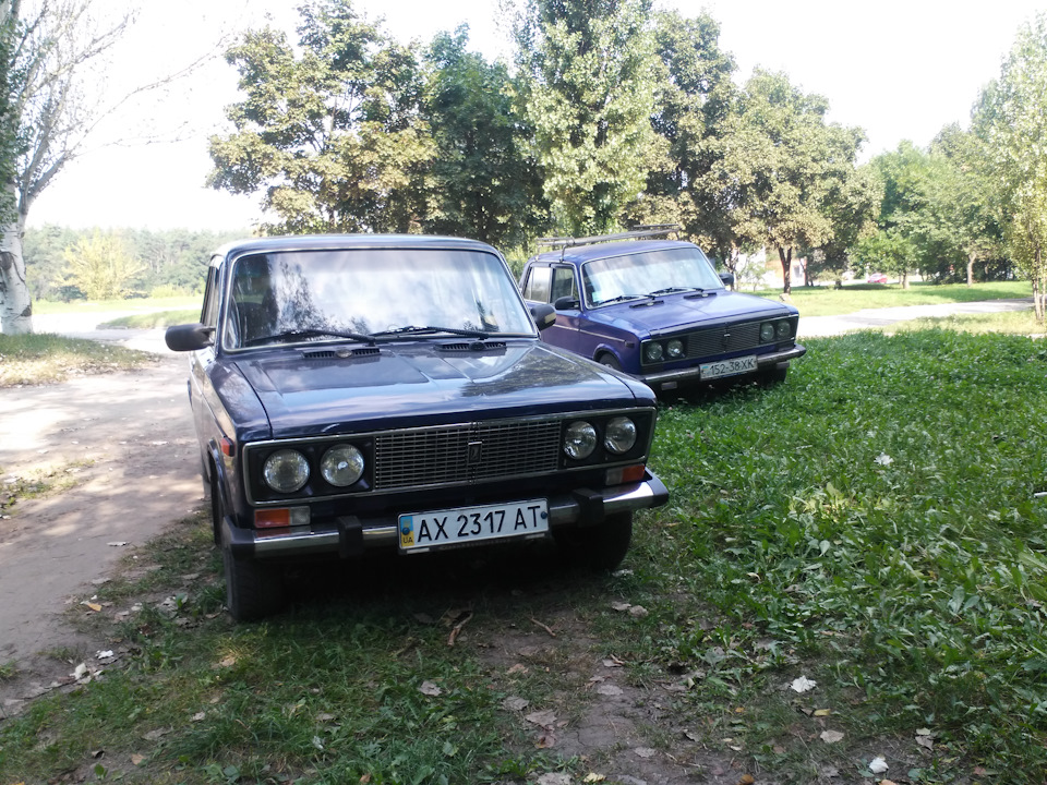 57 - Ластівка на природі 1