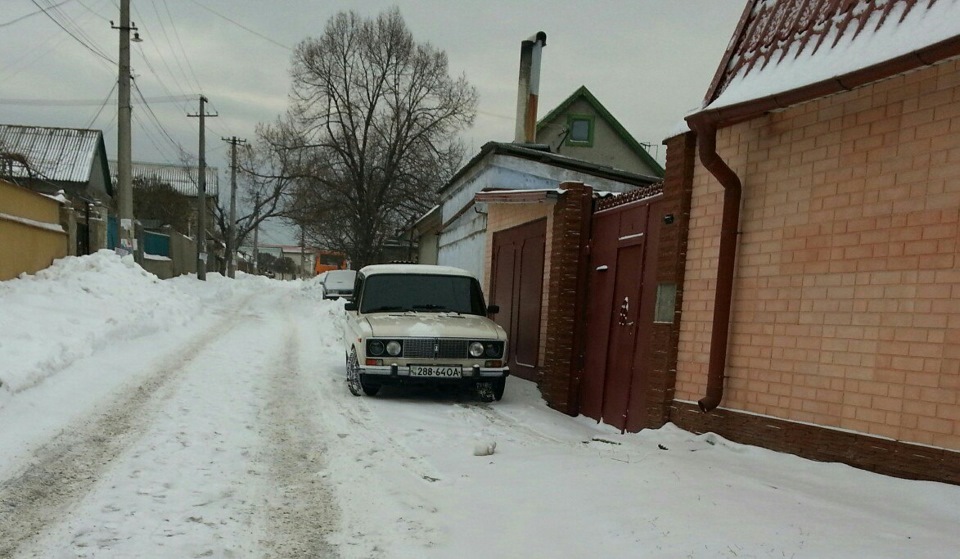 Лоб 20% 2