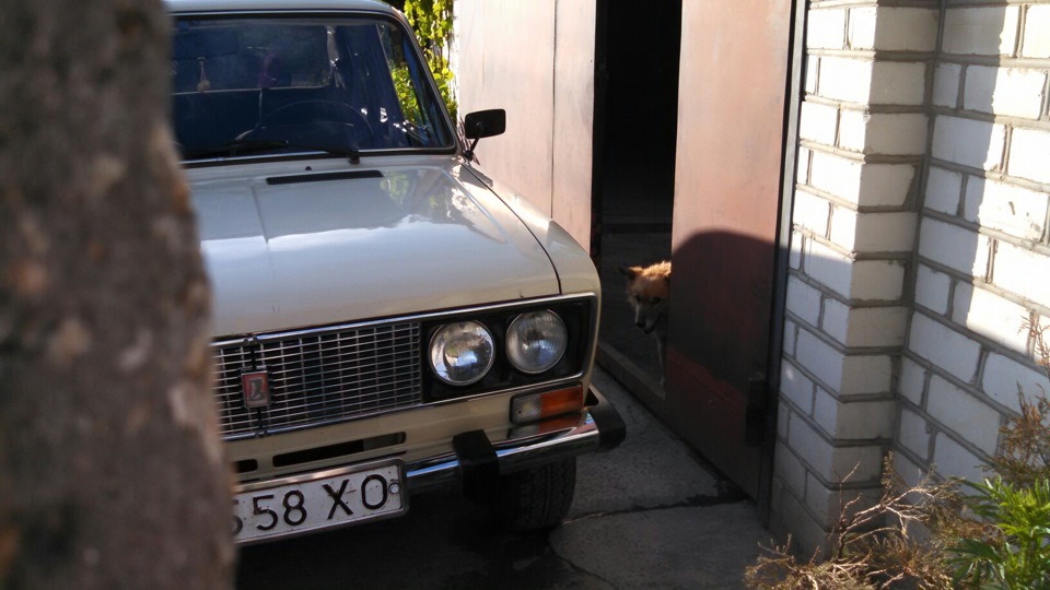 День Рождения. 4