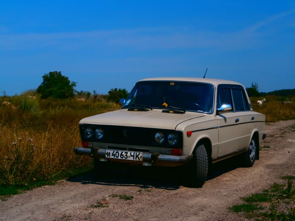 Трохи фото моєї ластівки.