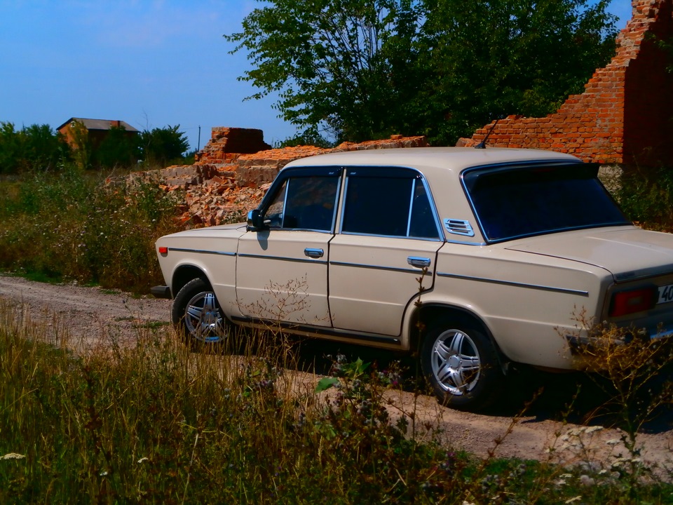 Трохи фото моєї ластівки. 4