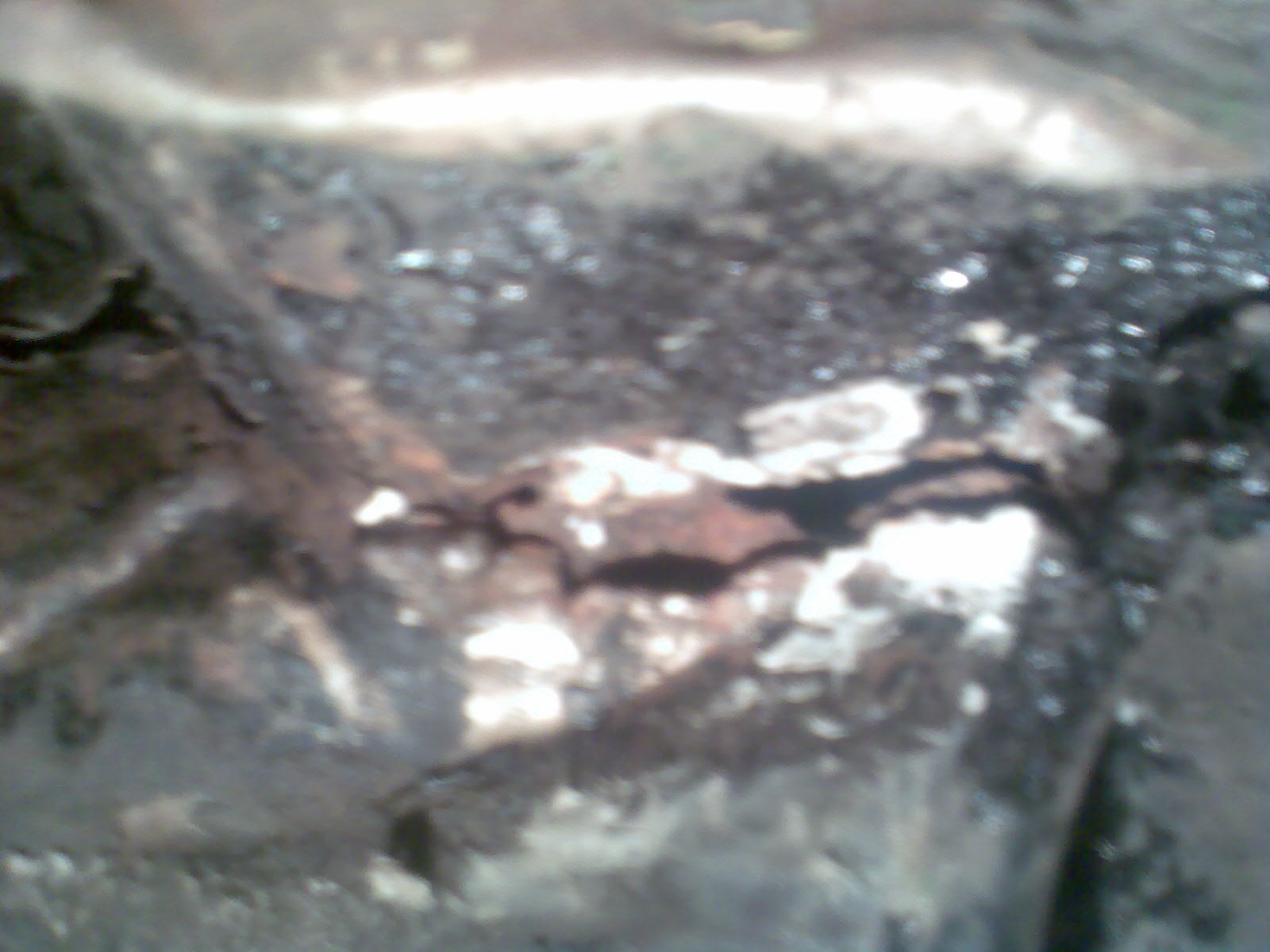 Запис, 16 березня 2010 1