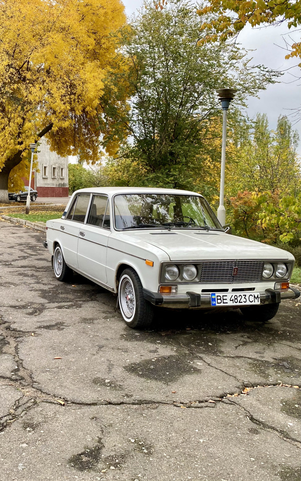 Чорні чи оливкові? 2