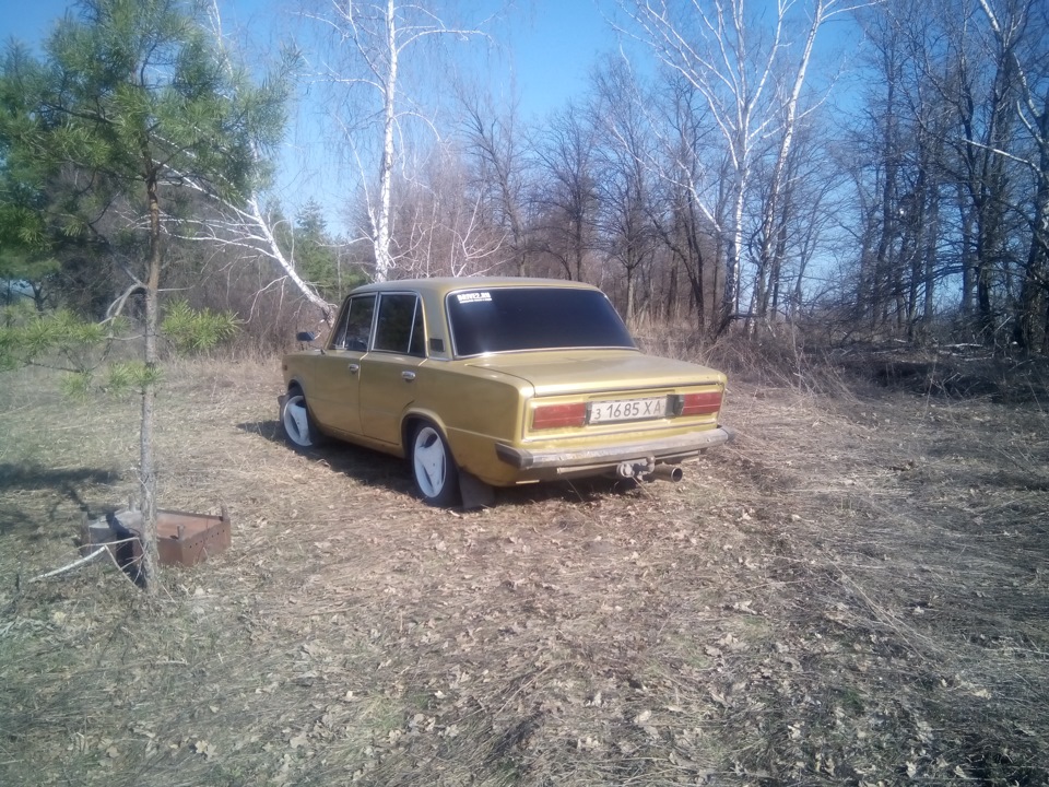 виїзд у ліс)) 2