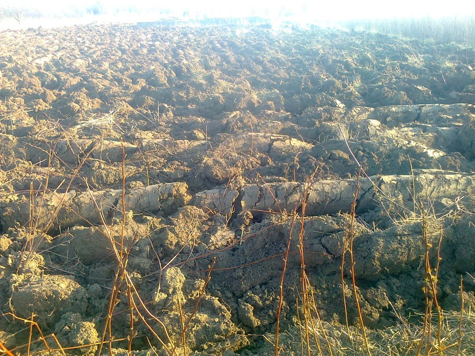 моя друга техніка та моя допомога. 5