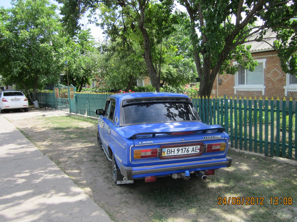 просто фотки ластівки. 1