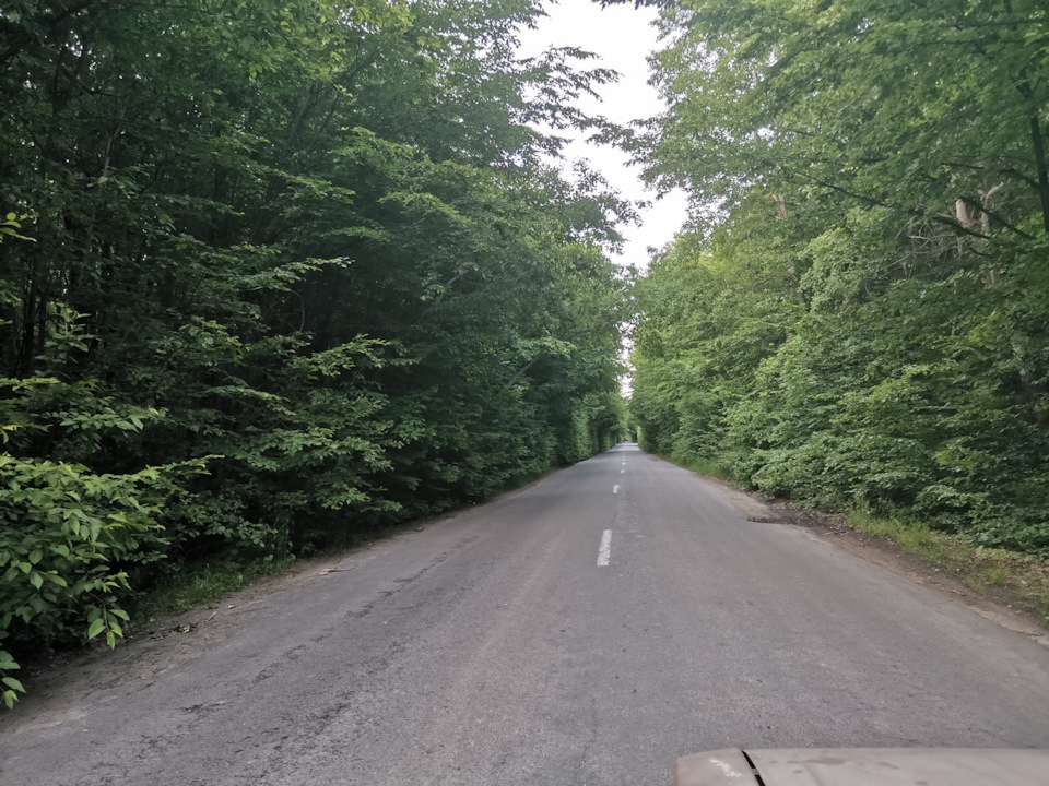 Запис, 8 червня 2020 року 1