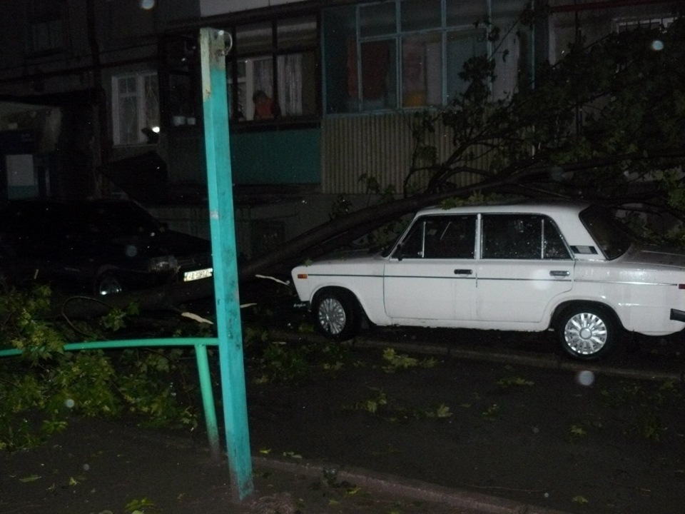 Дерево, вітер - одним словом природа ... 2