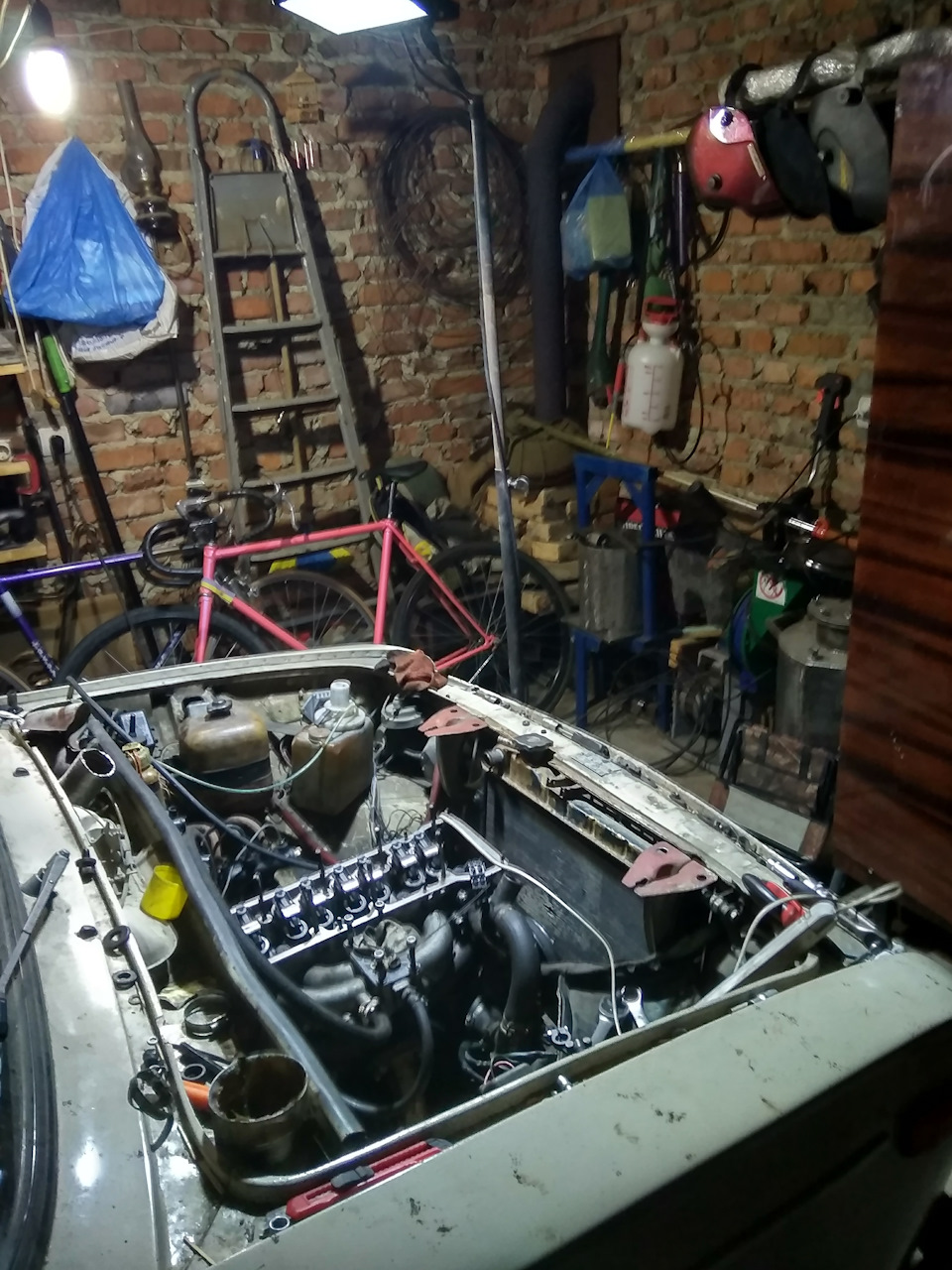 Ластівка знову у справі 2