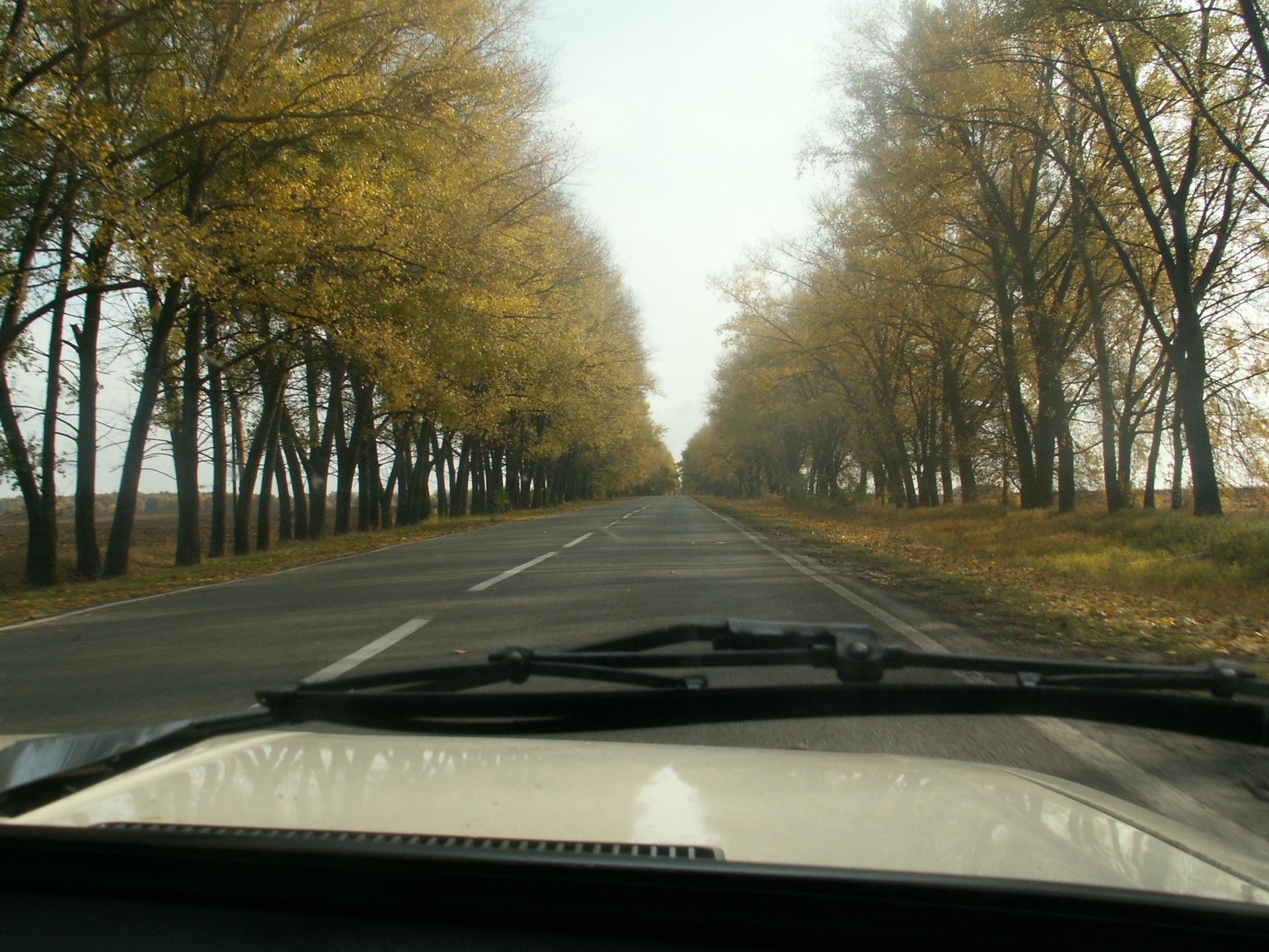 Авто без багажника на даху 5