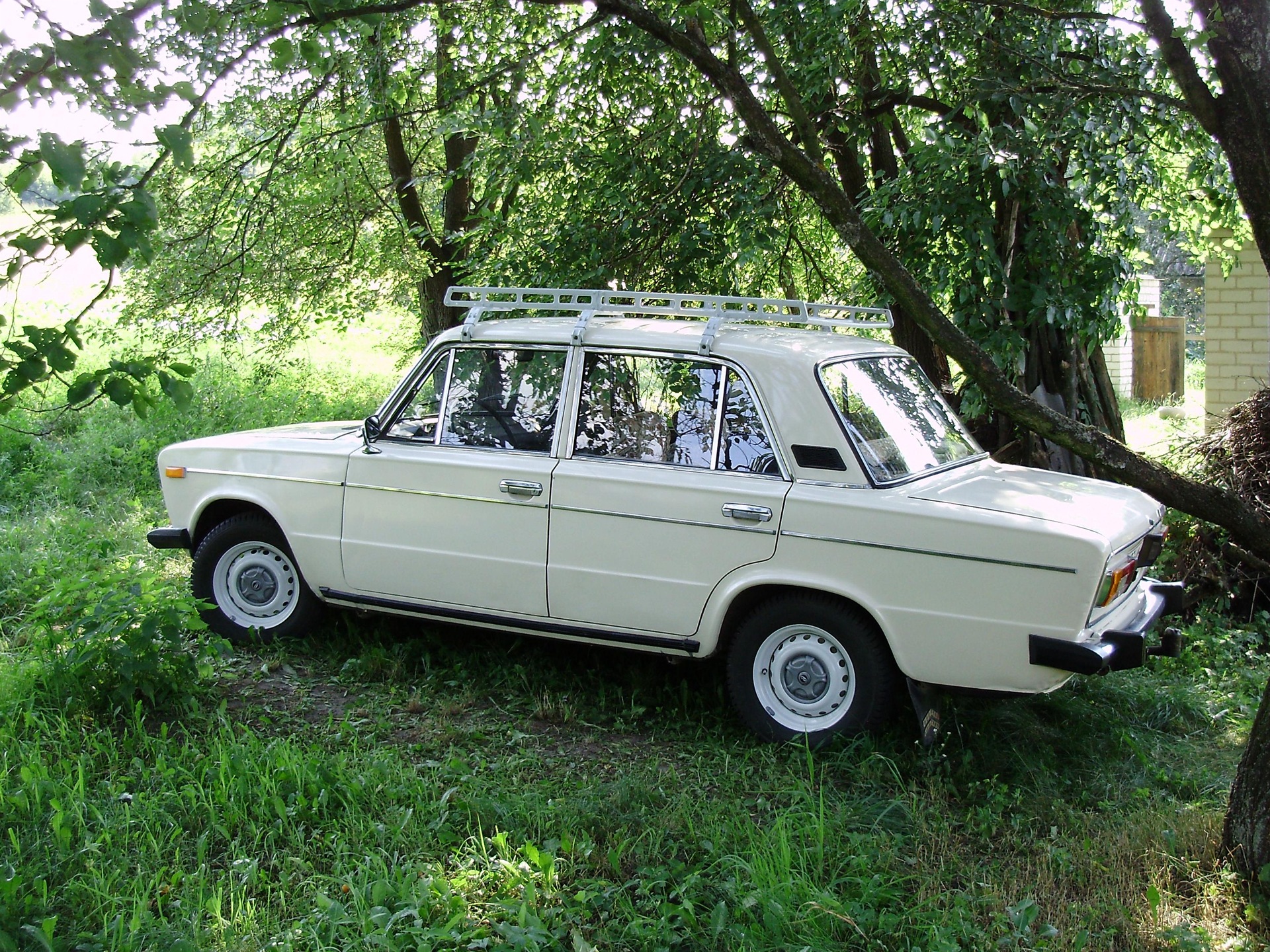 На дачі в селі 5