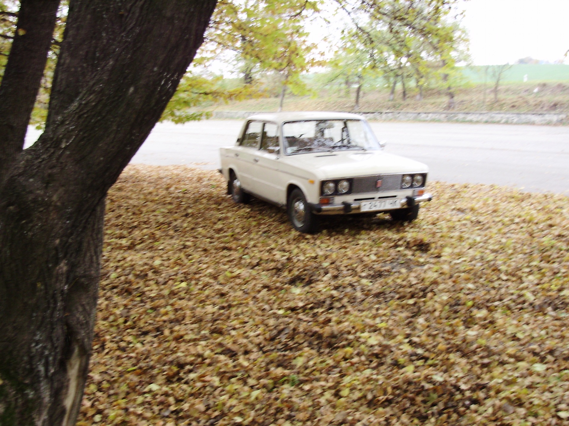 Запис, 25 жовтня 2011 5