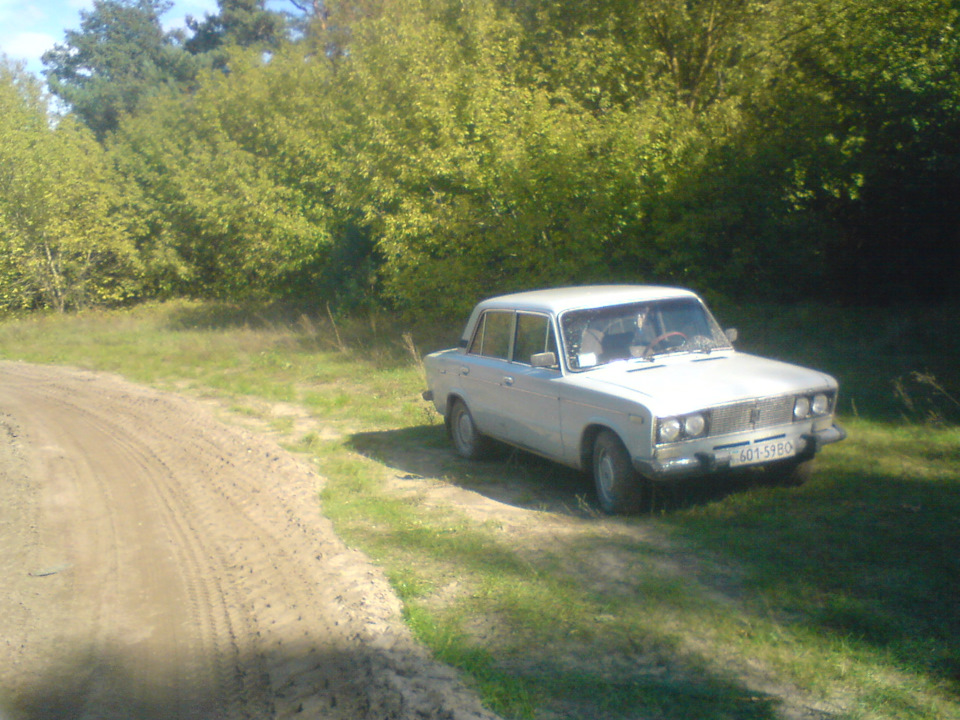 Поїздка за грибами) 5