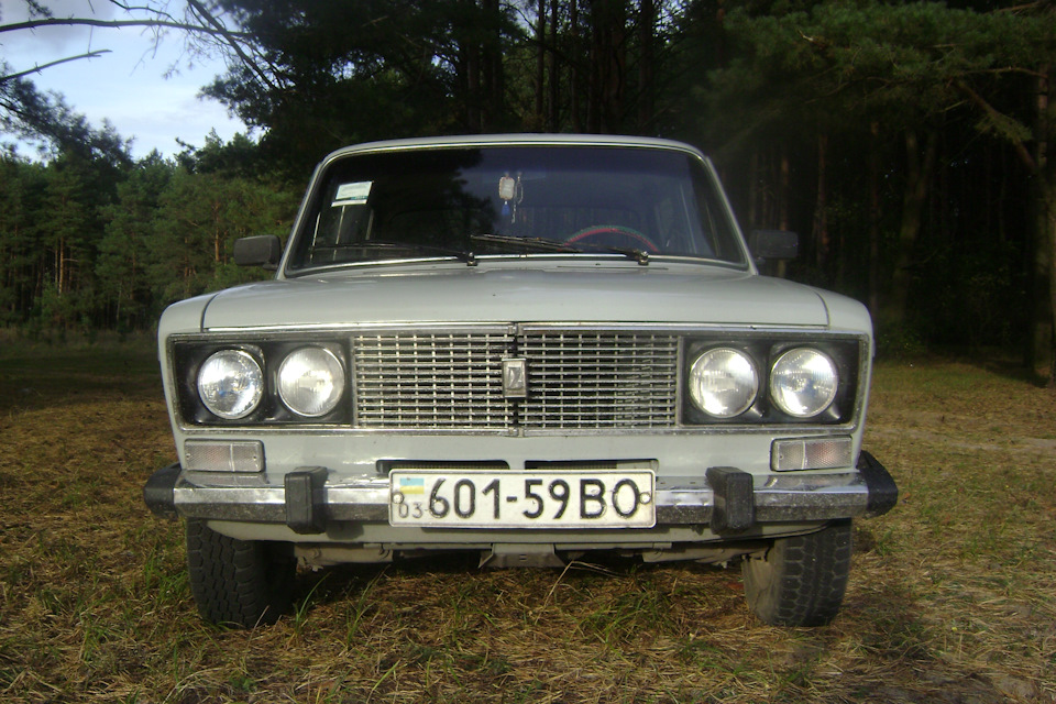 Виїзд у ліс на покотушки 3