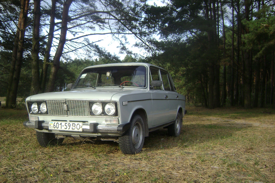 Виїзд у ліс на покотушки 1