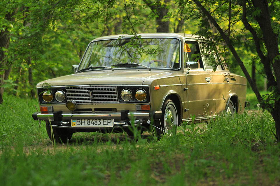 пару фотографій 2