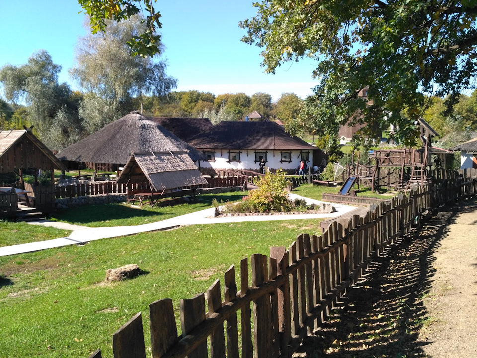 Вихідні покотушки 5