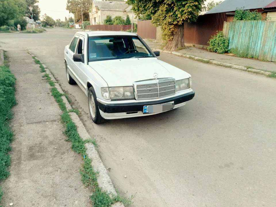 Новий улюбленець)