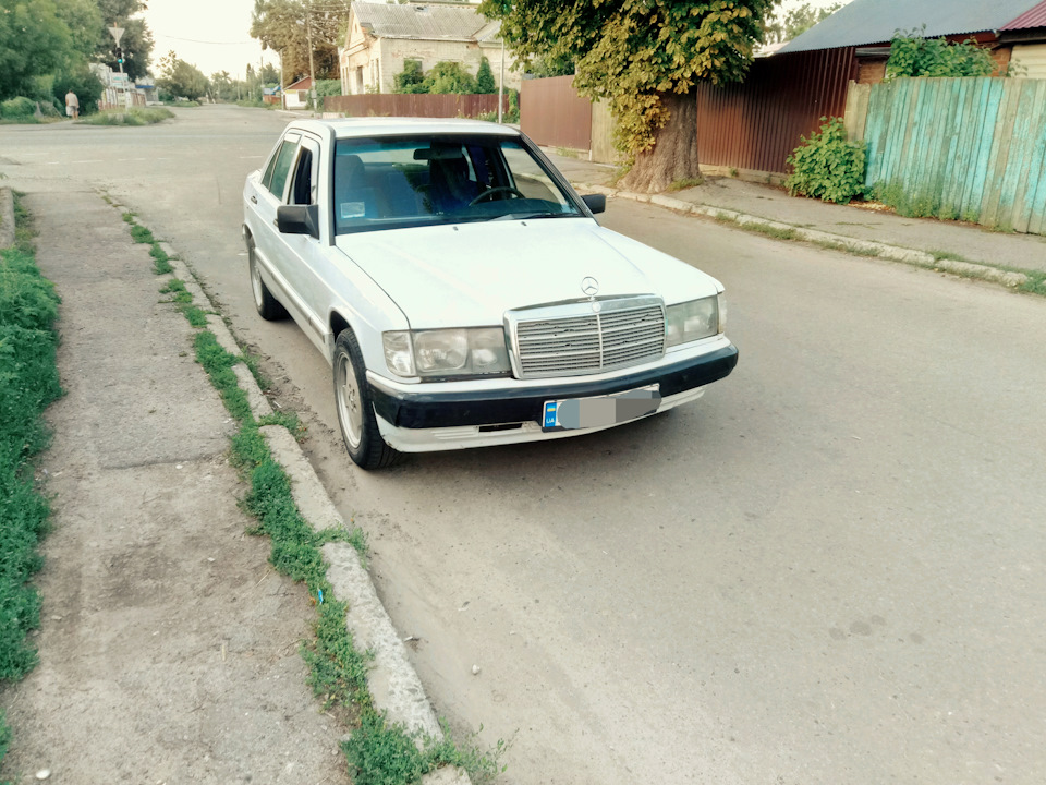 Новий улюбленець) 1